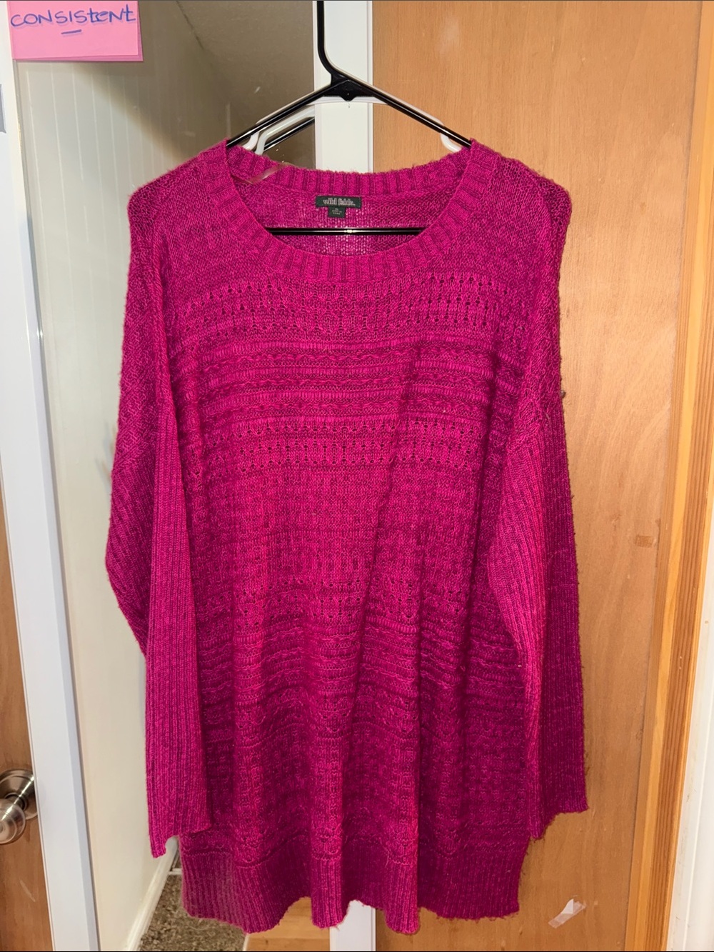 wild fable Deep Pink Textured Crewneck Sweater